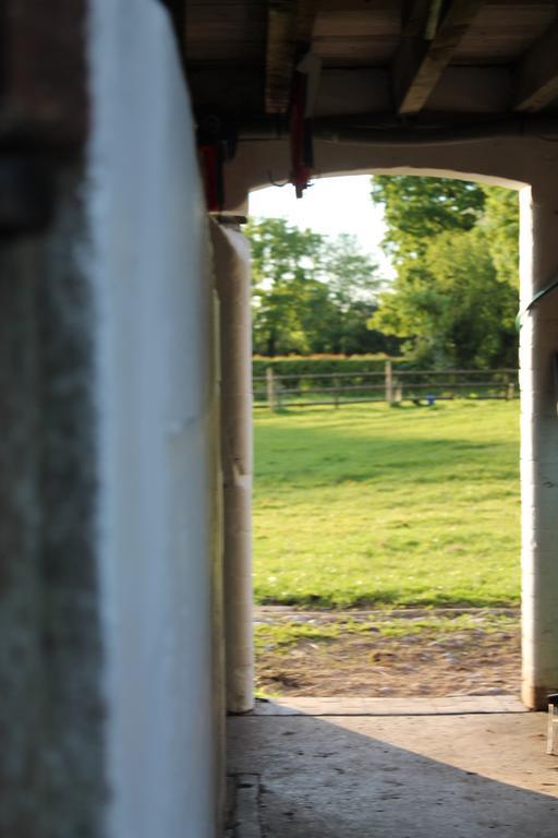 The Jockey Room Hideaway Spurstow Exterior foto