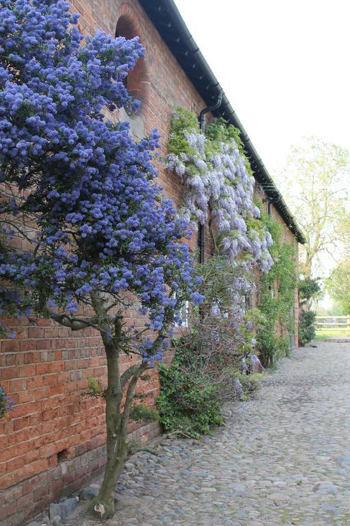 The Jockey Room Hideaway Spurstow Exterior foto