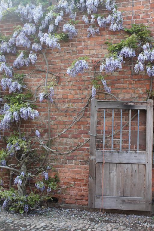 The Jockey Room Hideaway Spurstow Exterior foto